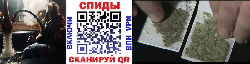 блэк спрут зеркало  Ворсма  БУТИРАТ бутандиол 