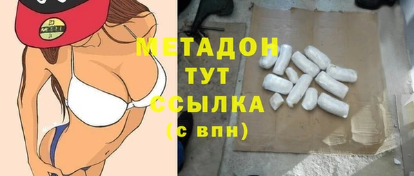 шишки Белокуриха