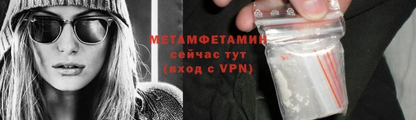 шишки Белокуриха
