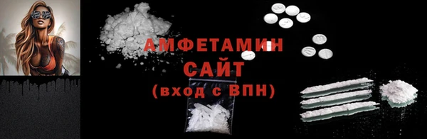 дживик Богородицк