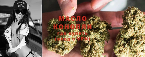 шишки Белокуриха