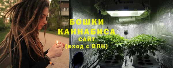 шишки Белокуриха