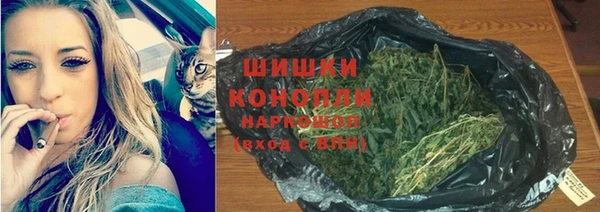 дживик Богородицк