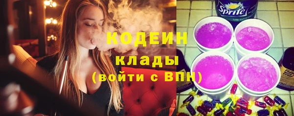 шишки Белокуриха