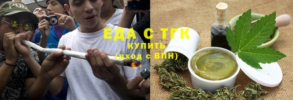 шишки Белокуриха