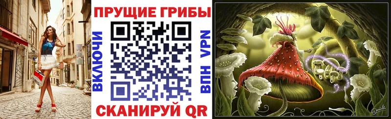 Псилоцибиновые грибы Cubensis  где купить наркоту  Ворсма 